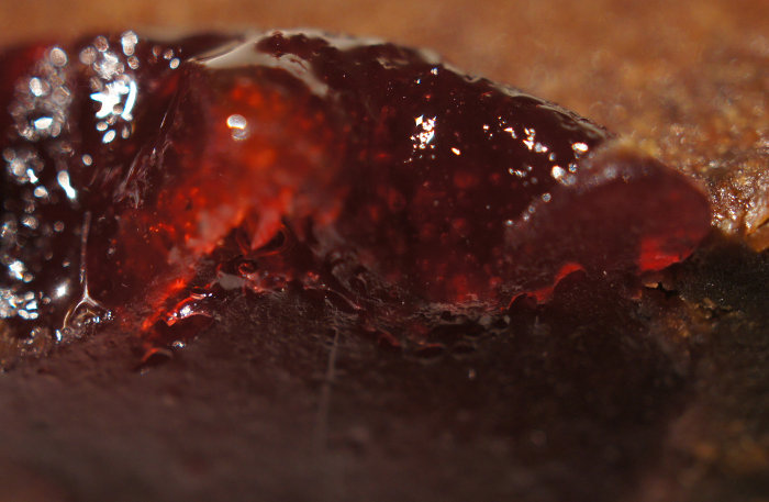 Rubis